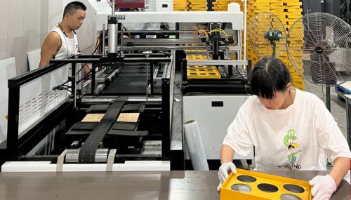 mid term product inspection